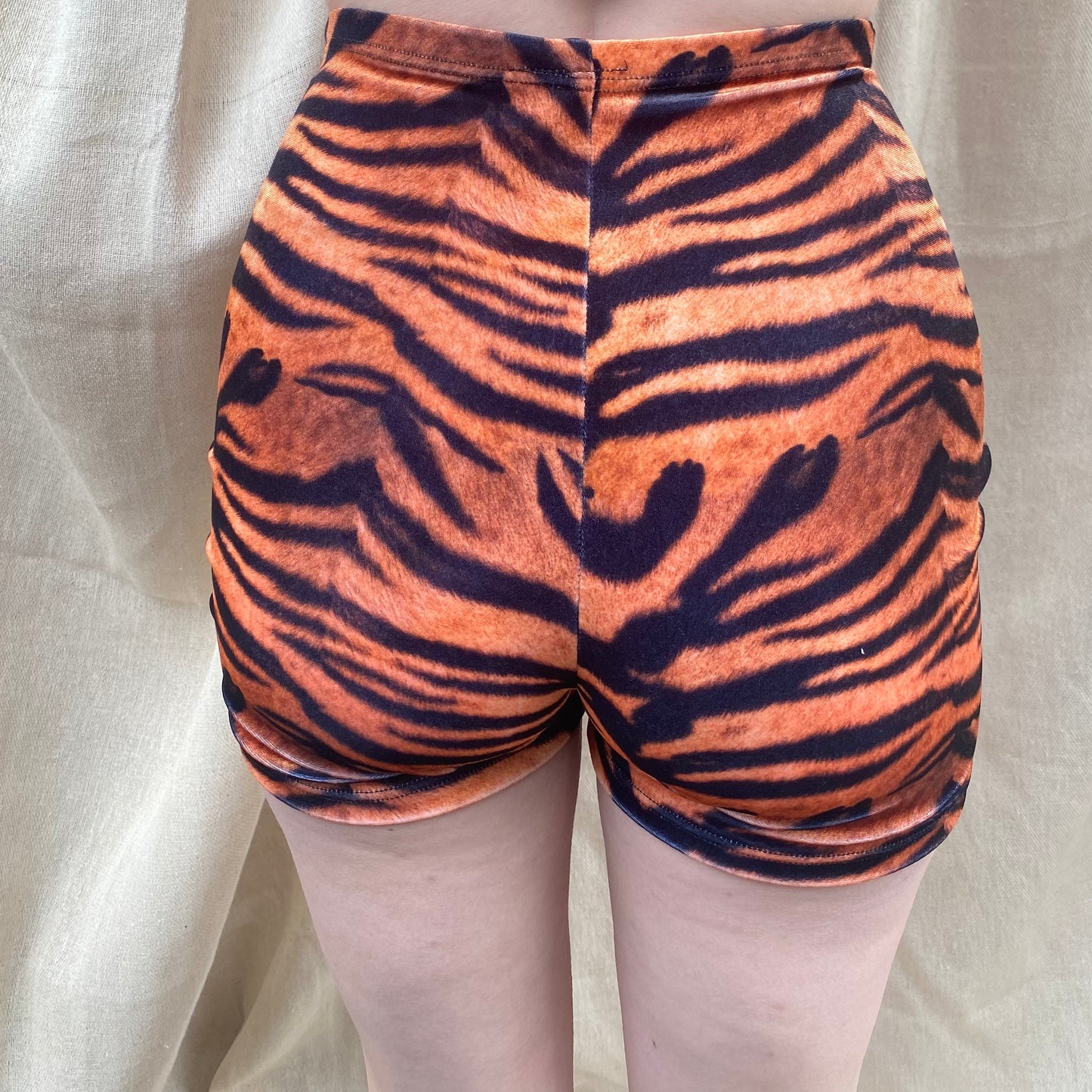 Stevie Shorts in Tiger